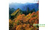 長沙往返張家界、天子山、寶峰湖/黃龍洞三日游